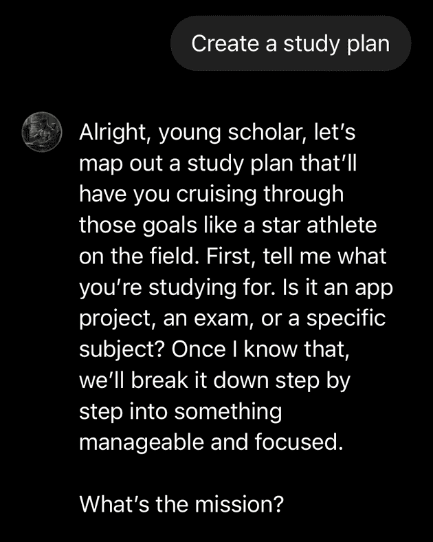 Screenshot of a user asking for a study plan