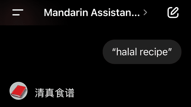 Screenshot of English text being translated by the app